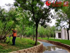 【建筑垃圾】建筑垃圾變身再生骨料，只差一臺(tái)移動(dòng)破碎機(jī)！